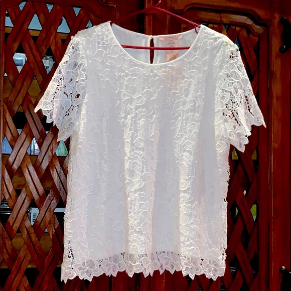 Philosophy Tops - NWT Philosophy Lace Top, Size Medium